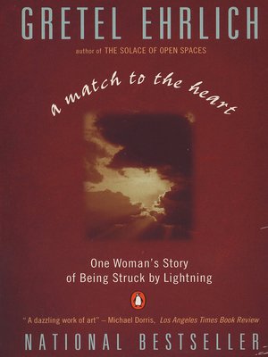 A Match to the Heart - ebook